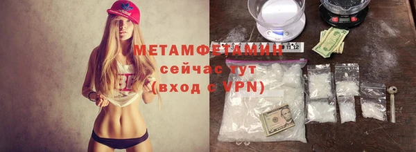 гидра Михайловка