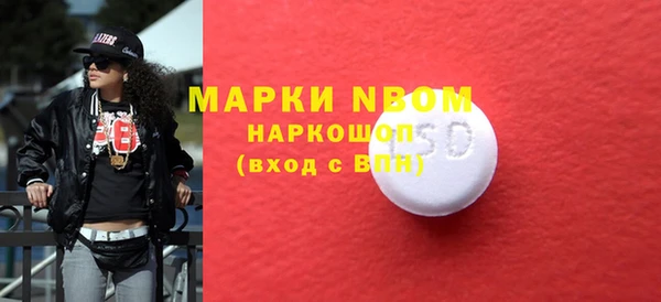 индика Наволоки