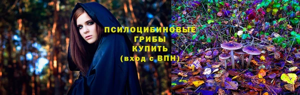 ПСИЛОЦИБИНОВЫЕ ГРИБЫ Надым