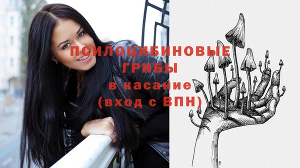ПСИЛОЦИБИНОВЫЕ ГРИБЫ Надым
