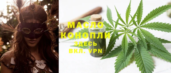индика Наволоки