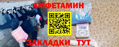 хмурый Кингисепп