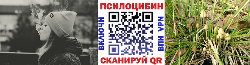 MEGA ONION  Касимов  Псилоцибиновые грибы мицелий 