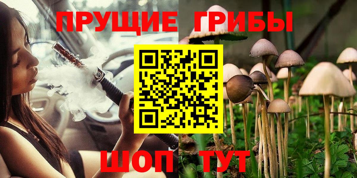 Галлюциногенные грибы мицелий  Вход с VPN  Касимов 
