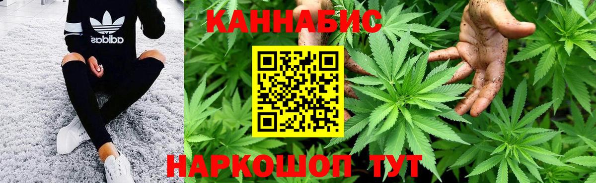 Касимов  Марихуана Ganja  Бошки Шишки Ganja  Конопля Bruce Banner  Бошки марихуана планчик  Вход с VPN 